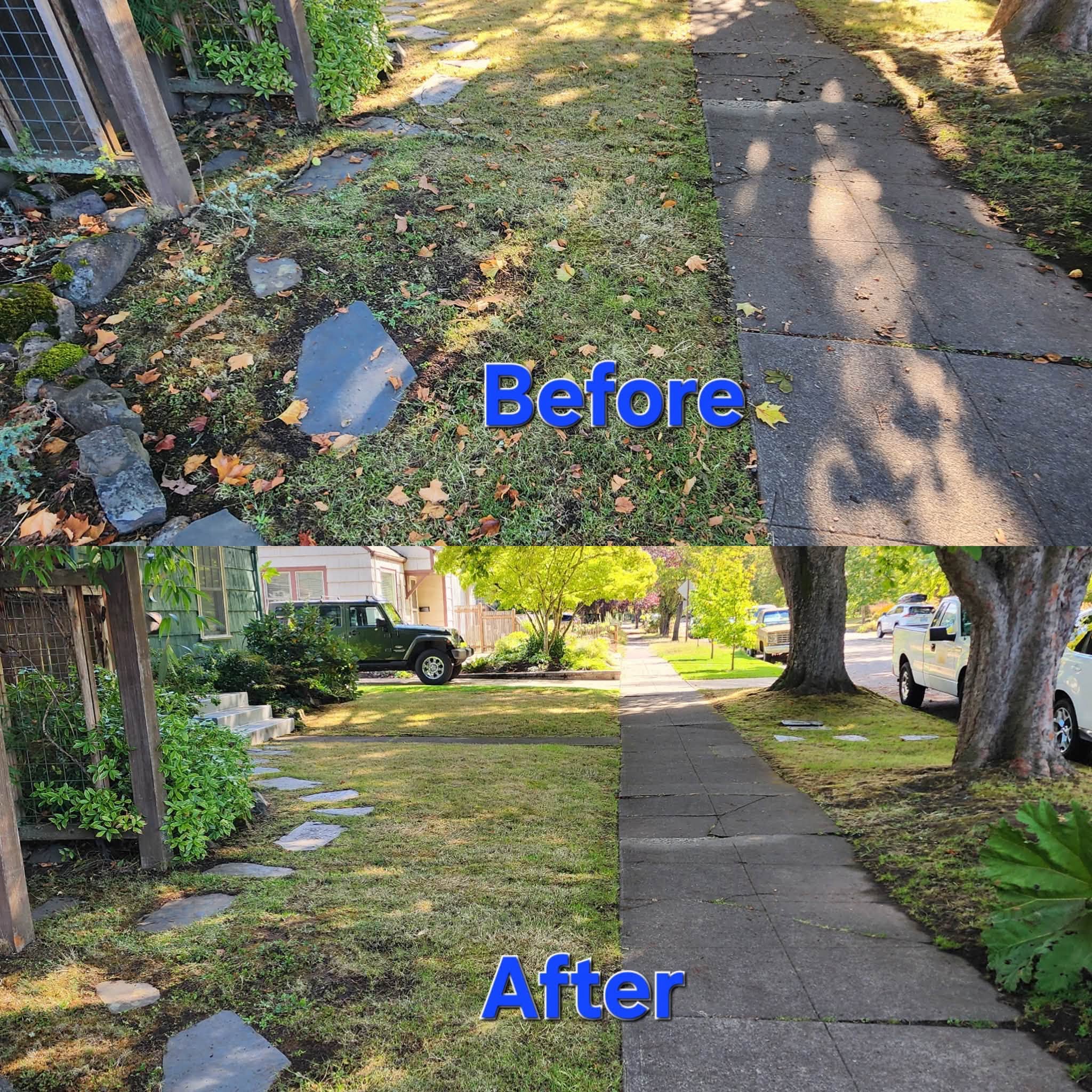 Before and after lawn mowing, leaf cleanup, and crisp sidewalk edging
